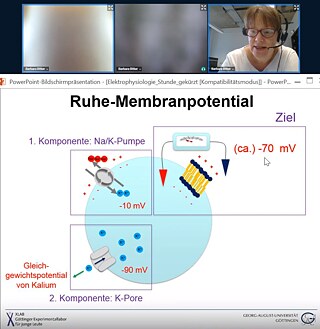 лабораторії xLab © © Goethe-Institut в лабораторії xLab