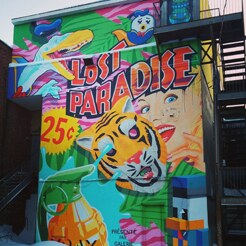 Xray „Lost Paradise“