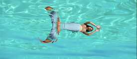 Nereida Patricia  Banner