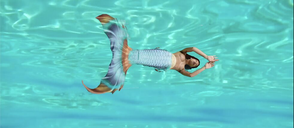 Nereida Patricia  Banner