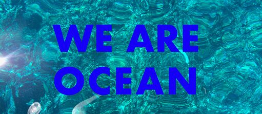 We are Ocean Logo