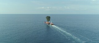 Taming The Garden - Still