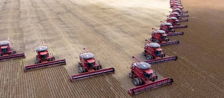 Soybeans now grow where the rainforest once stood: the soybean harvest in Mato Grosso in Brazil.