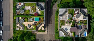 Vegetation cover on roofs like here in the Essen district of Kettwig can be an effective protection against too much precipitation.