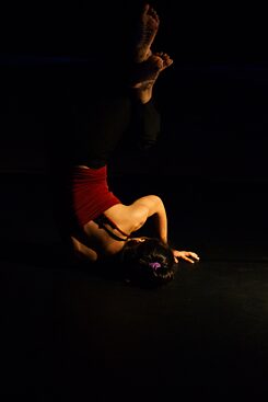 If We Vanish_2_Ronita