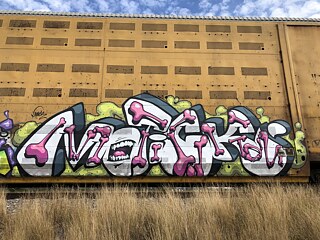 Street-Art an Zügen 