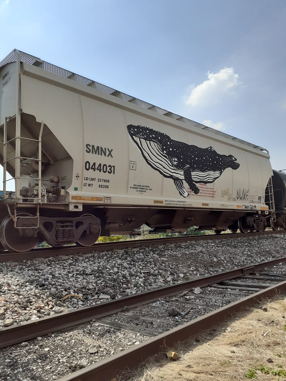 Street-Art an Zügen 