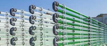 An algae unit for algea production consisting of a row of pipes