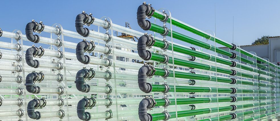 An algae unit for algea production consisting of a row of pipes