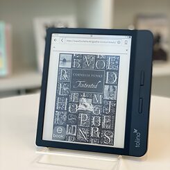 E-Book-Reader 