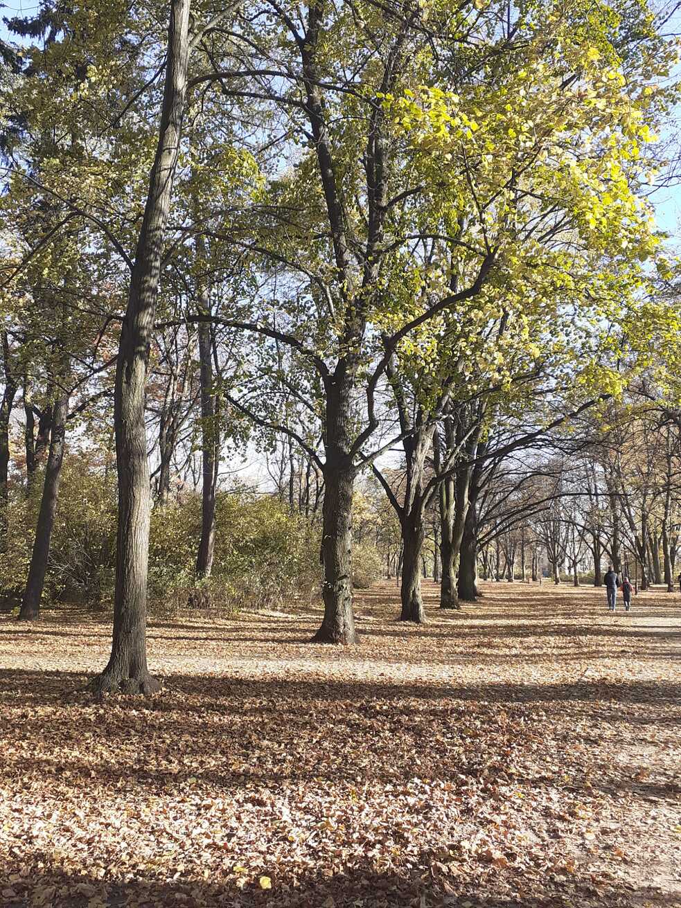 Park in Lodz