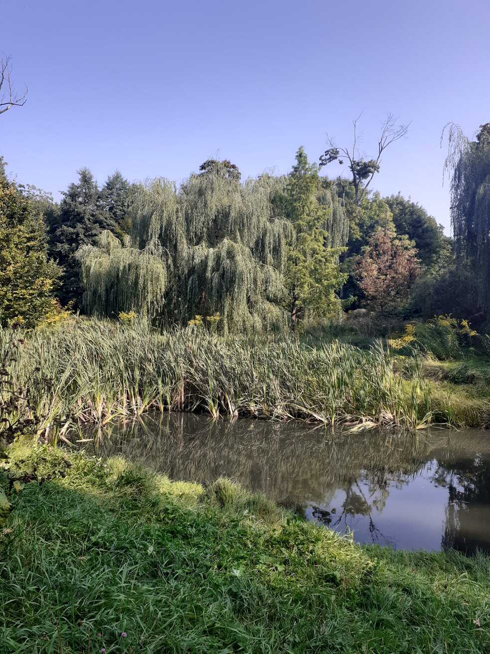 Park in Lodz