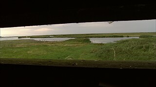 Der Tag des Spatzen &copy; Foto: Bernd Meiners © pong / ZDF Der Tag des Spatzen