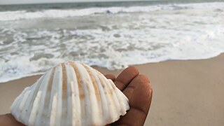 Cartas para mar &copy; © Louise Lucena Cartas para mar