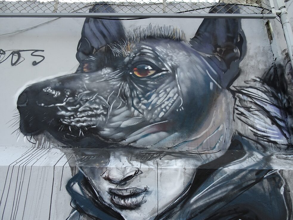 Ausschnitt Stille Helden