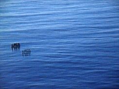 Havarie_Philip Scheffner