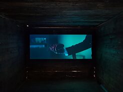 Videoinstallation, Shivering Heart, Film, 10 Min., Holzhütte, 240 cm x 300 cm, Tiflis/GE, 2018