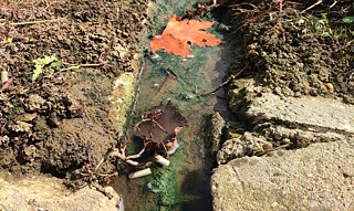 Abwasser Szentlászló