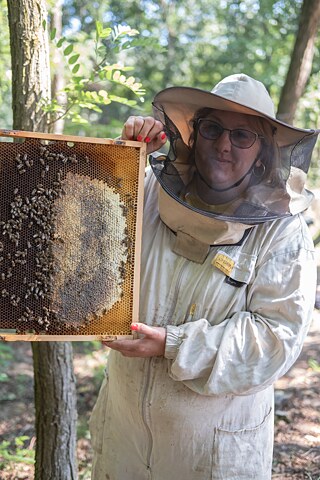 Imkerei mit 100 Stöcken
