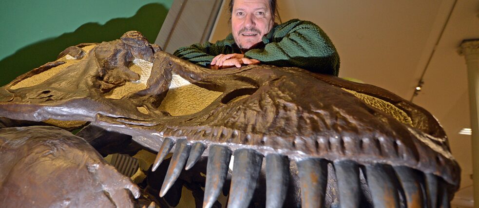 In the State Museum of Natural History Karlsruhe (Baden-Württemberg) the dinosaur researcher Eberhard Frey stands next to a skull cast of the predatory dinosaur Tyrannosaurus rex.