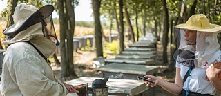 Melinda Némethné Beck beim Interview