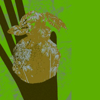 Gartenarbeit muss nicht teuer sein - Emeraldil Paramaeswara