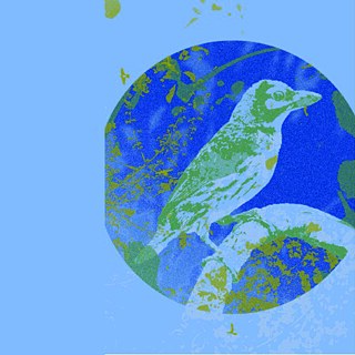 Schwärme aus vergangenen Zeiten, Hoffnungsträger für die Zukunft - Yuki Agriardi