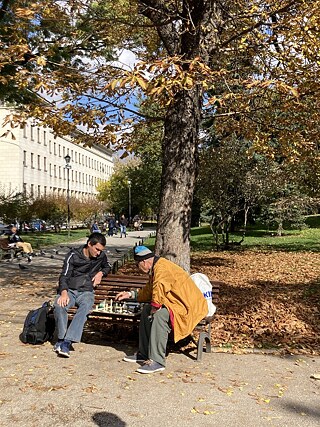 Schachspieler*innen im City Park