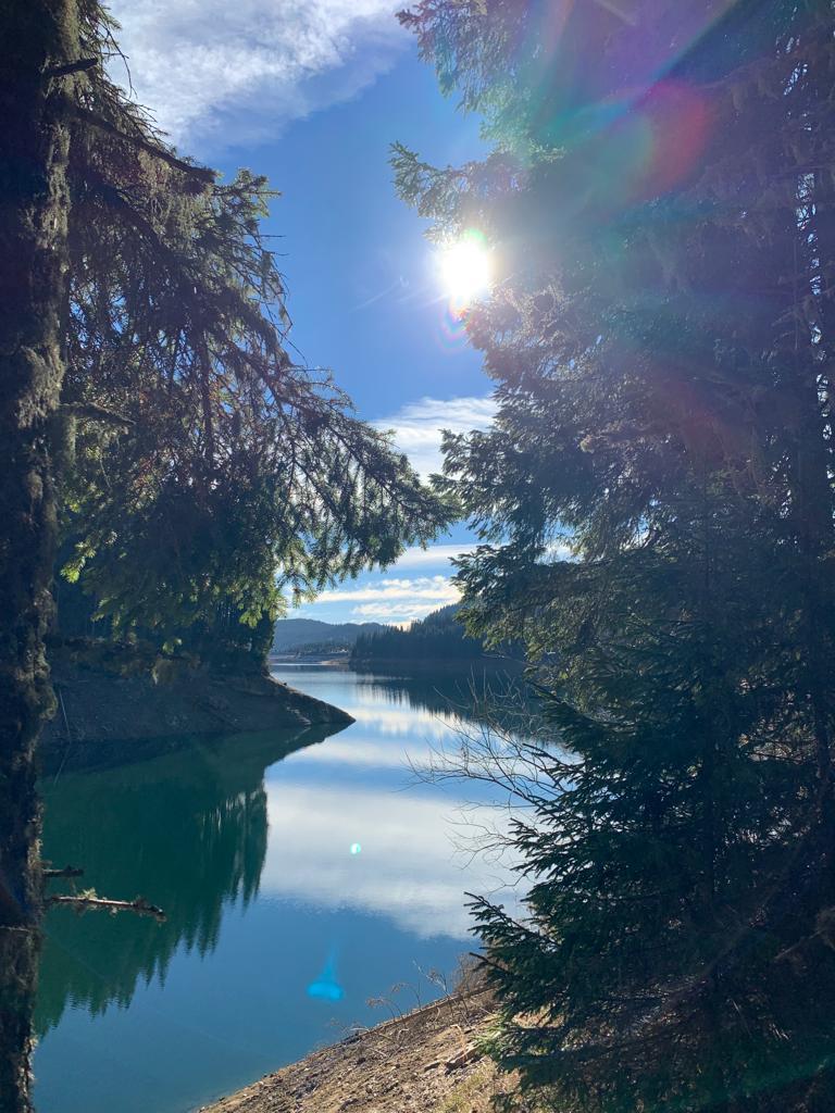 Wandern am Stausee