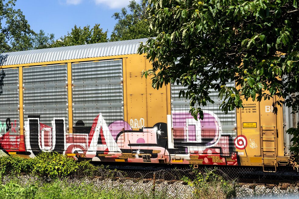 Train and Trees