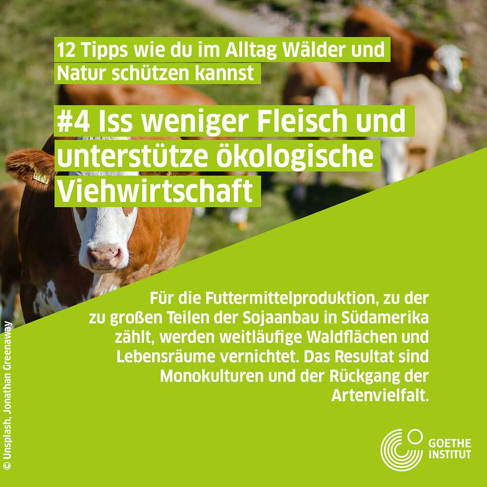 Fleischkonsum