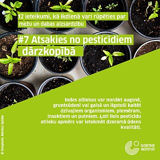 #7 Atsakies no pesticīdiem dārzkopībā © © Unsplash, Markus Spiske #7 Atsakies no pesticīdiem dārzkopībā
