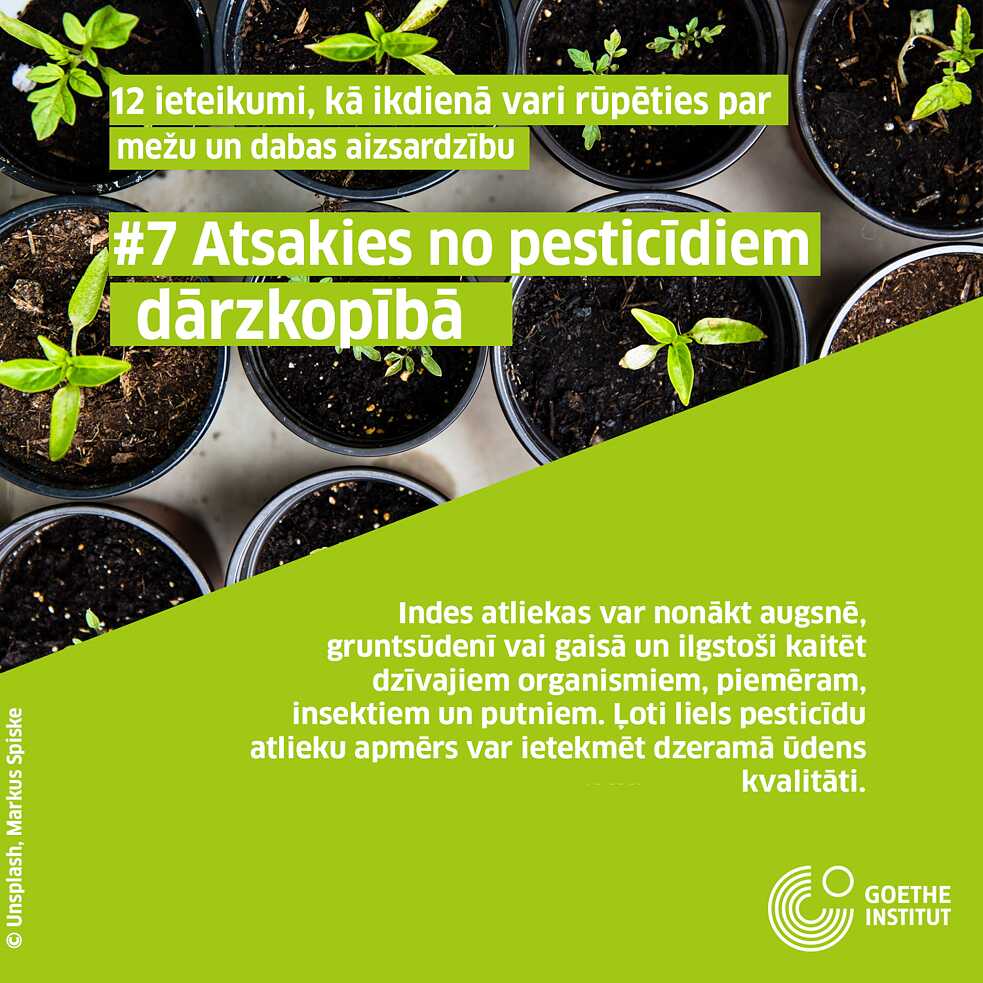 #7 Atsakies no pesticīdiem dārzkopībā