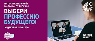 Интеллектуальный марафон_BerufsnetzDe