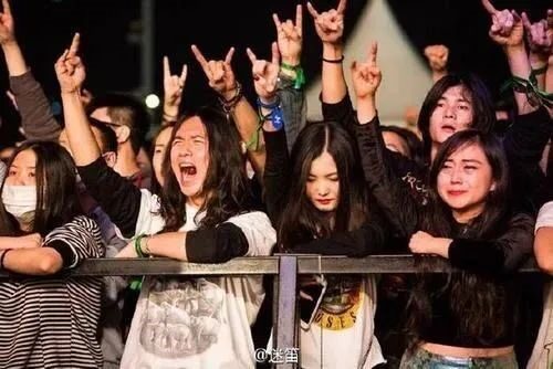 Fans bei einem Rock-Konzert