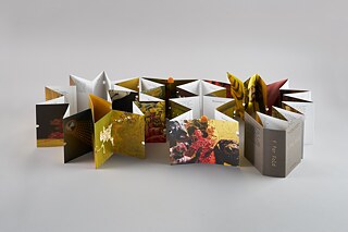 Ho Tzu Nyen - The Critical Dictionary of Southeast Asia: F for Fold (2021).  Artist's book in collaboration with Currency Design. 