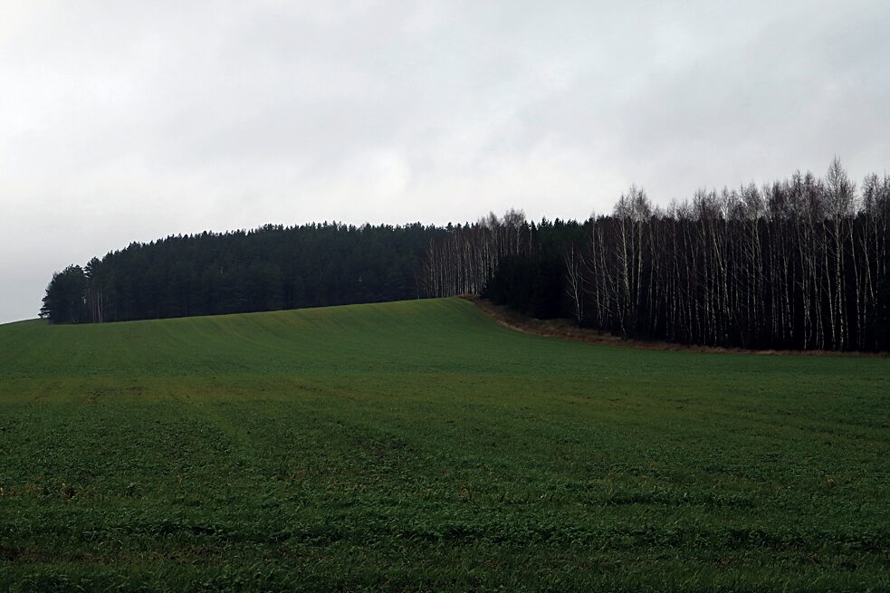 Zvenčí to vypadá idylicky: východopolský les. Zde, na hranici s Běloruskem, se skutečně nachází poslední divoký prales v Evropě. Částečně bahnitý, částečně hustě porostlý. Sami místní obyvatelé říkají, že se tady dá rychle zabloudit.