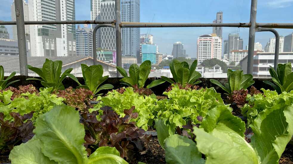 Baanrim Rooftop