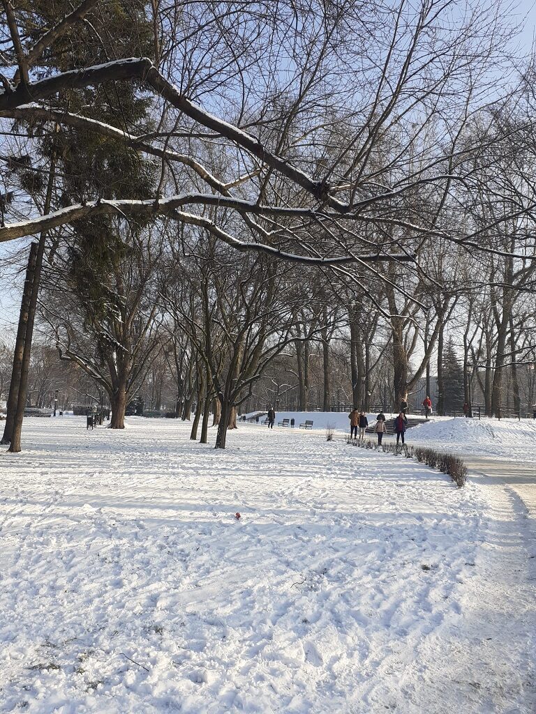 Winter in Polen