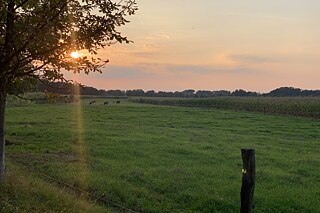 Eine Landschaft in der Lausitz