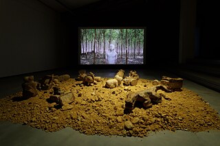 Installation view of ‘ERRATA’, MAIIAM Contemporary Art Museum, Chiang Mai, Thailand. 