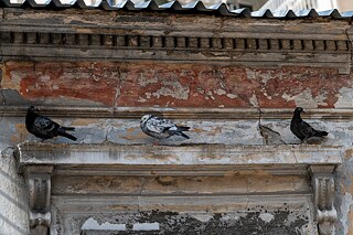 Walking along Patission Street, Athens. 