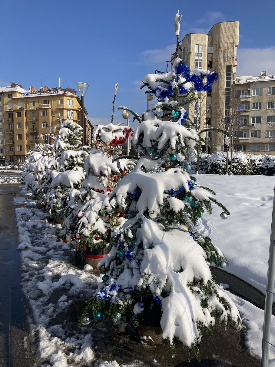 Weihnachtsbäume am NDK