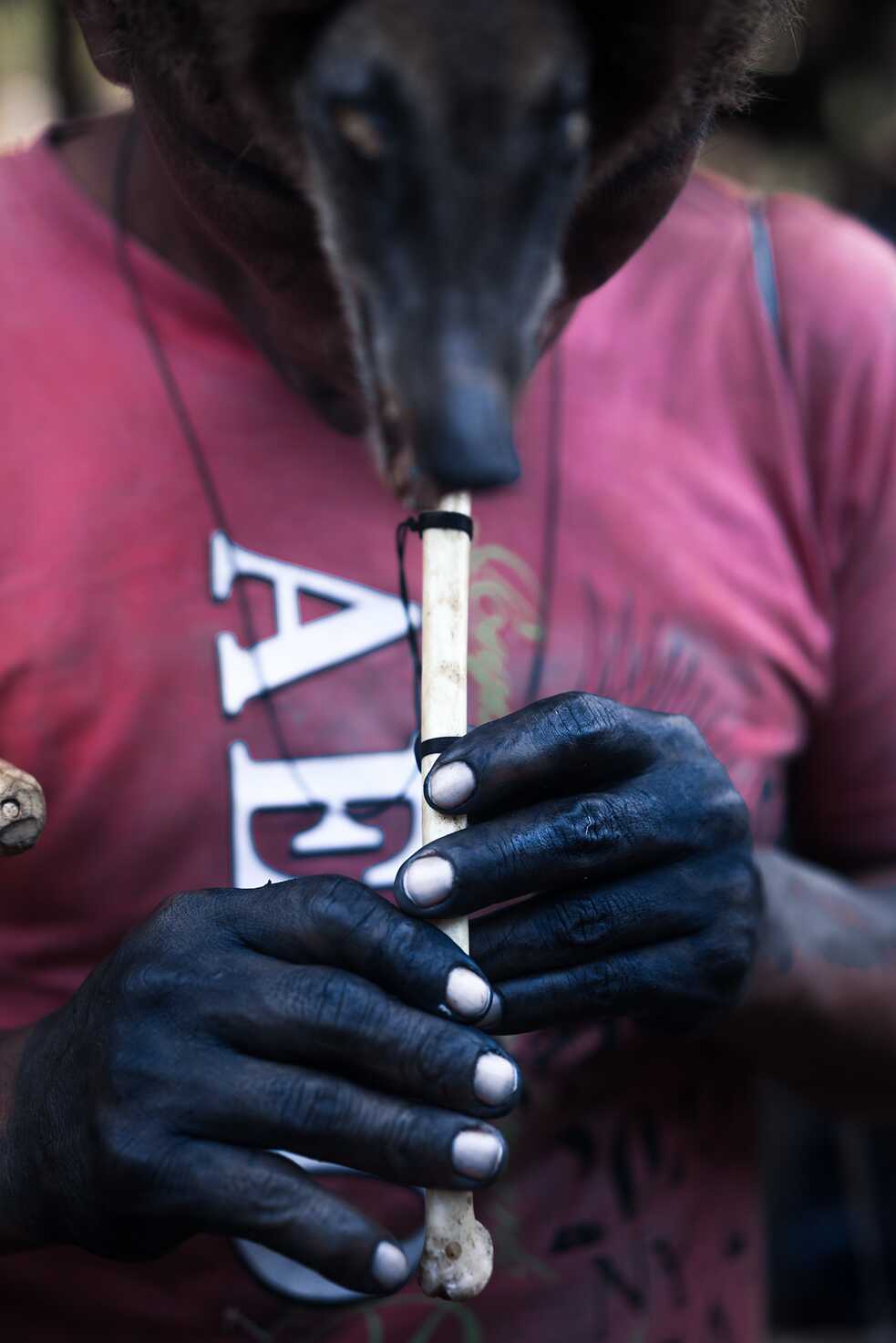 2017. Un hombre toca el piguano (un tipo de flauta) durante el primer día del festival Uyantza Raymi. Trae puesto un sombrero hecho de la piel y la cabeza de un coatí y las manos pintadas con wituk.