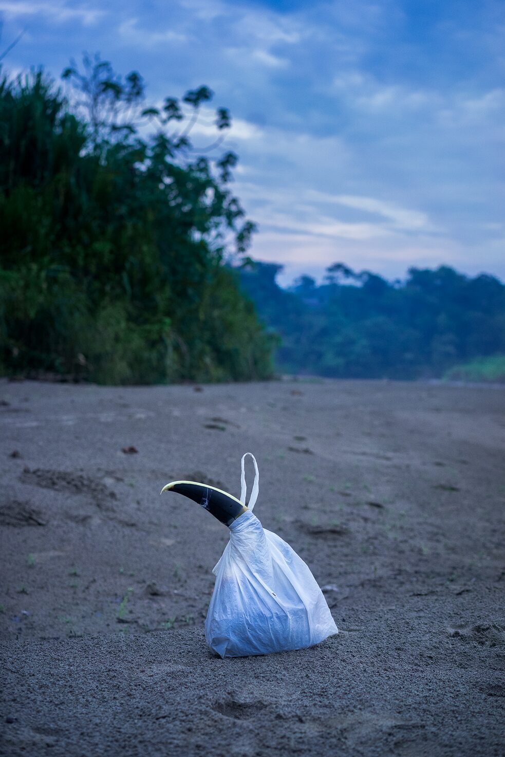 Un sombrero hecho con un pico de tucán dentro de una bolsa de plástico a la orilla del río Bobonaza.