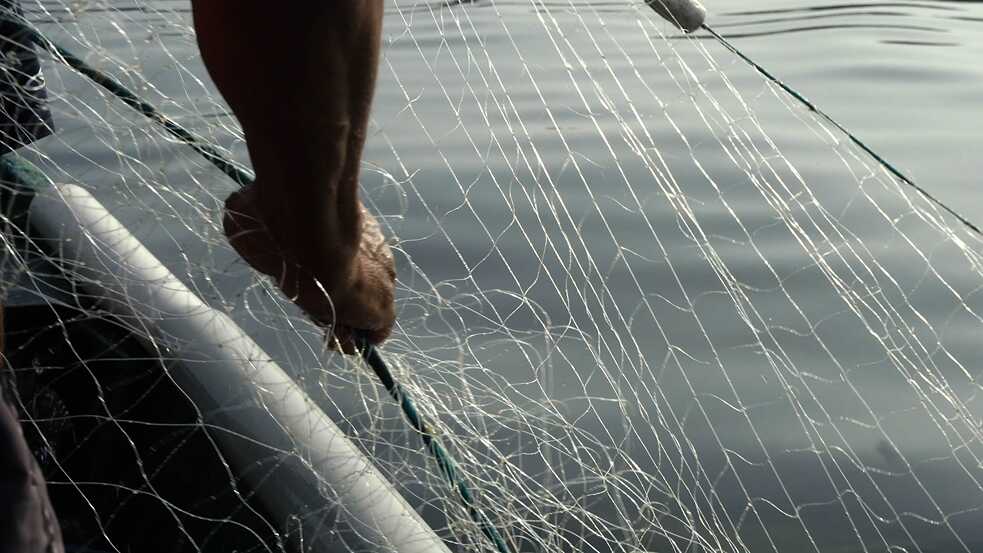 Detalle de una red de pesca.