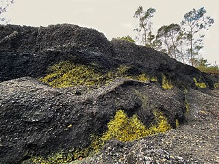 Una montaña de pirita y azufre.