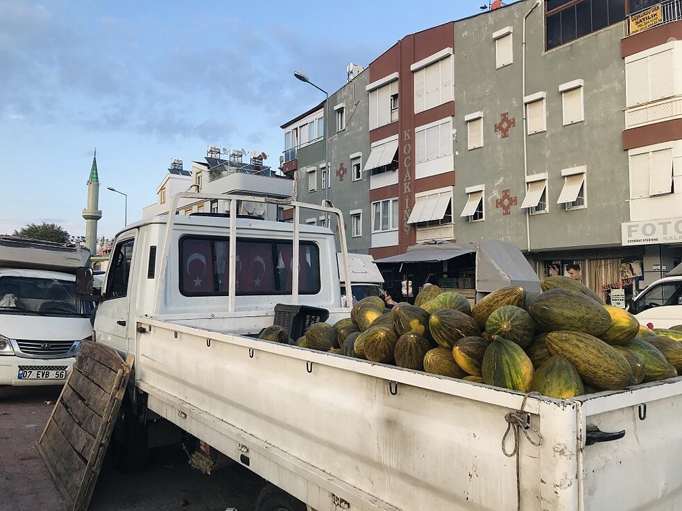 Marktzeit ist Melonenzeit 