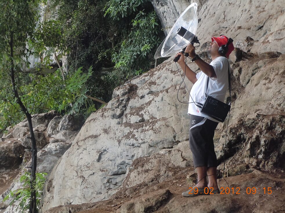 Fieldrecordings mit einem with Parabolmikrophon. 