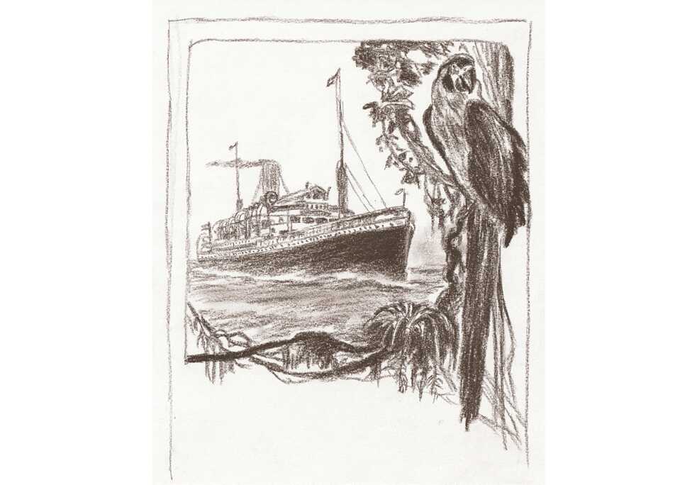 Dibujo basado en una publicidad de Hamburg-Südamerikanische Dampfschifffahrts-Gesellschaft para la ruta Hamburgo-Brasil, año 1910